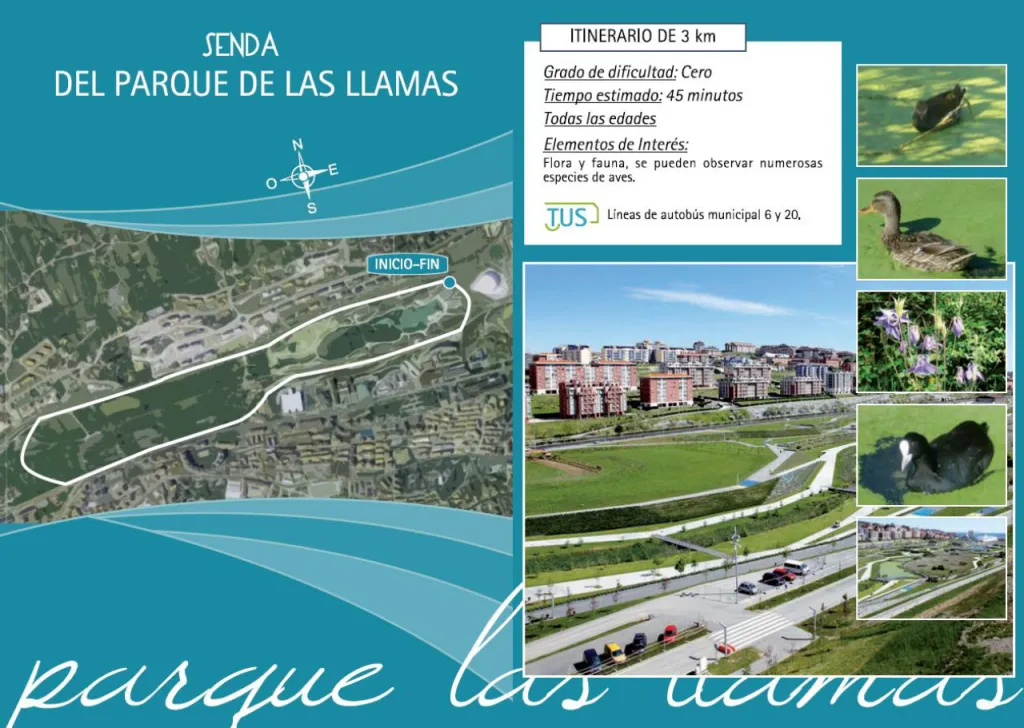 enlace a mas info