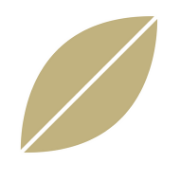 Semilla Comunicación Logo