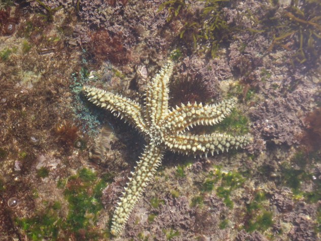 Icono Ruta por la costa