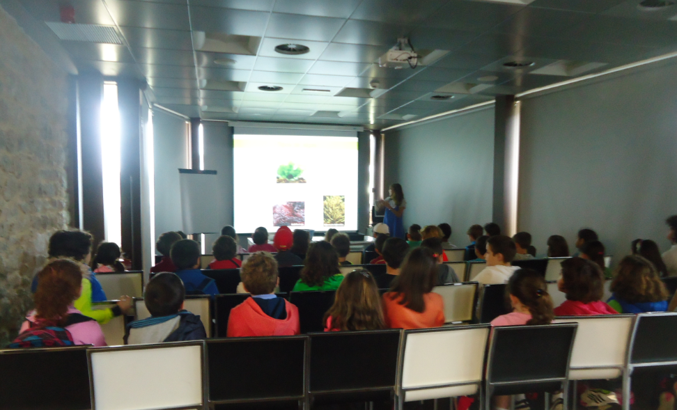Colegio Ramón y Cajal