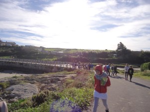 CEIP Nueva Montaña