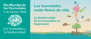 Día mundial de los humedales