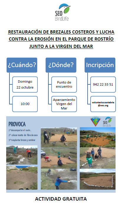 Restauración de brezales costeros y lucha contra la erosión en el parque de rostrío junto a la virgen del mar