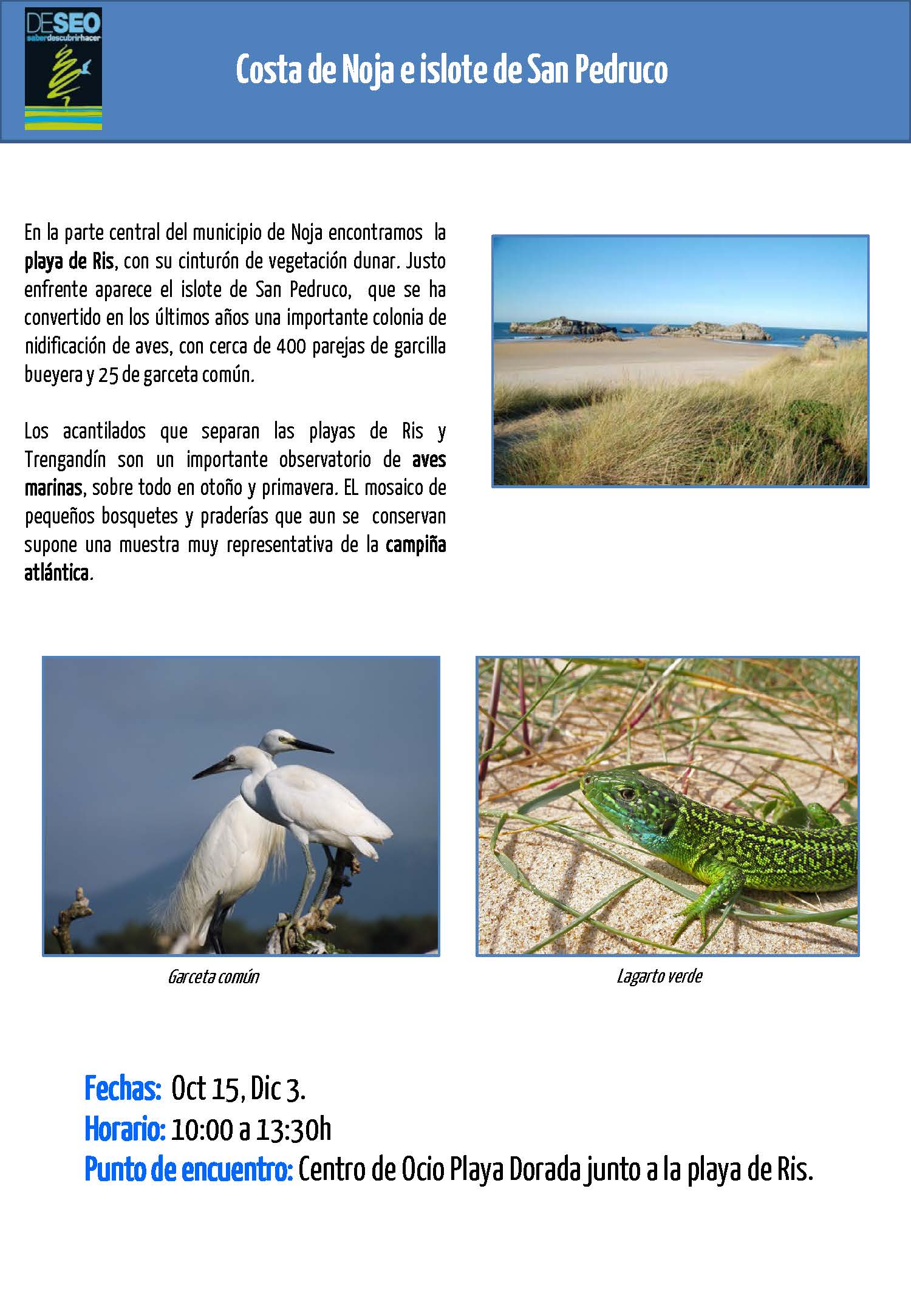 Domingo 15 de octubre Itinerario Ornitológico por la Costa de Noja (Playa de Ris – acantilados de Punta de la Mesa-Trengandín)