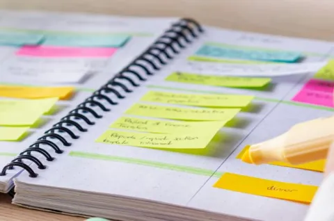  bienvenida al otoño dest