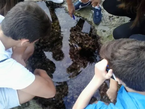 Colegio Castroverde
