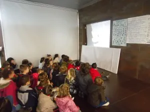 Colegio Nueva Montaña