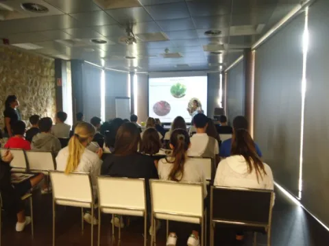 Colegio Castroverde (Santander)