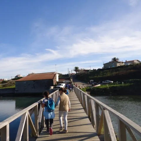 CEIP Marcial Solana (La Concha de Villaescusa)