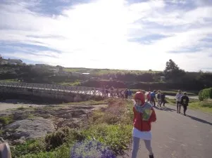 CEIP Nueva Montaña