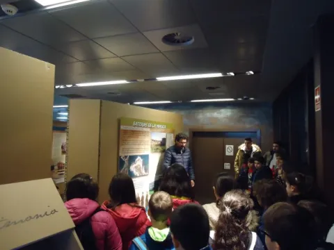 CEIP Elena Quiroga (II)