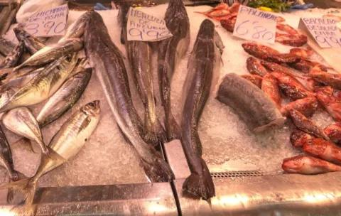 Mejorar la seguridad y calidad de los productos de la pesca