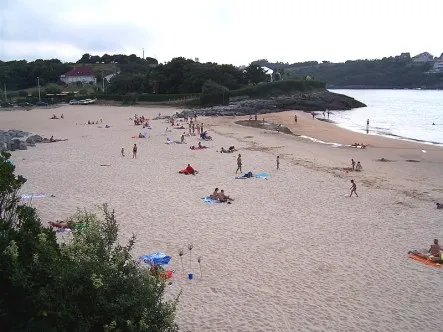 Playa de La Arena (Arnuero)