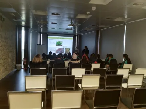 Colegio Santa María Micaela