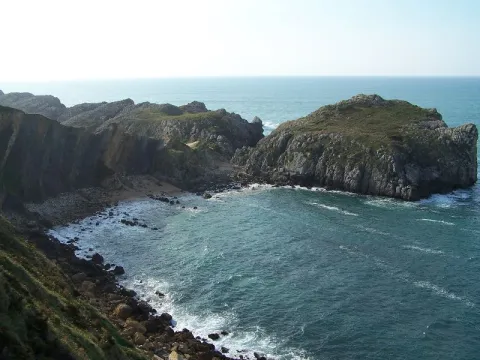 Habitantes de la costa: Acantilados marinos